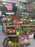 태평상록화원 | 신세계화원