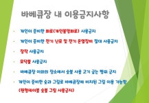평DOG스테이 | 스테이평해