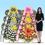 와이엠씨