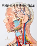 느낌좋은두피탈모관리실,희윤피부관리실 | 나와모랩 두피탈모전문관리센터 진주1호점