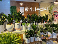 향기나는화원