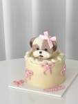케이센트 cakscent