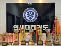 연세대리더스태권도 | 연세대태권도