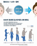 에이치제이도도뷰티살롱 | 뷰티쌀롱제이