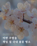 삼보항공여행사주 | 하나항공여행사