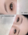 오듀몽듀(Oh dieu Mon dieu) | 오듀스튜디오