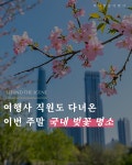 삼보항공여행사주 | 하나항공여행사