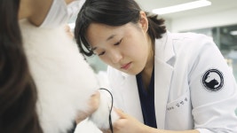 수원24시스카이동물메디컬센터 | 수원 스카이동물메디컬센터