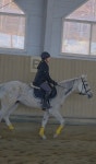 권스테이블 승마클럽