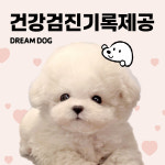 파밀리에드마스코타천안두정점천안강아지분양천안고양이분양 | 파밀리에드마스코타 천안두정점 천안강아지분양천안고양이분양