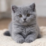 후기