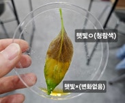 신우하연과학교습소