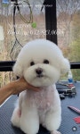스파그루SpaGroo | 스파그루