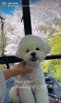 스파그루SpaGroo | 스파그루