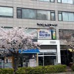 마이웨이영어교습소 | 마이클래스 영어 교습소