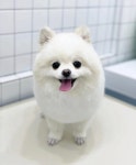 반자주일광 | 반자주 일광신도시점