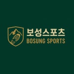 보성스포츠