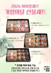 하이플레르