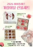하이플레르