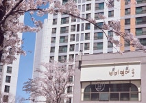 비비영어
