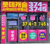 지디알스카이캐슬 | 롯데캐슬스카이파크공인중개사사무소