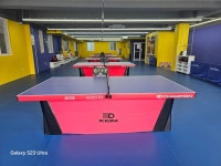 탁구챔스