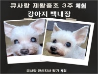 큐사랑구미형곡중앙점 | 큐사랑&핸썸맨 역곡중앙점