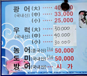 자유부인회센타 | 서울회센타