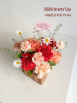 시유화