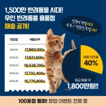 도그마캣동탄 | 도그마캣 가맹본부