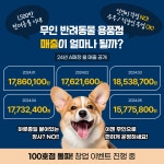 도그마캣동탄 | 도그마캣 가맹본부