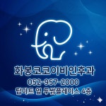 화봉코코이비인후과의원