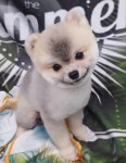 살랑살롱