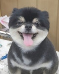 살랑살롱