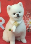 살랑살롱