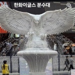 다비드뷰티컴퍼니(레비브레인천지사) | 다비드컴퍼니