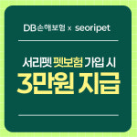 유미펫강아지분양고양이분양남양주점 | 서울강아지분양 고양이분양 서리펫