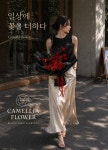 플라워 카페 까멜리아(flower cafe camellia) | 카멜리아플라워