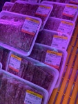 큐사랑 고척근린시장점 | 하누야놀자2호 고척근린시장점