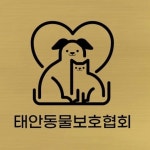 하얀둥지 펜션