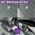 파비스케어강남총판 | 파파스홈케어 서울강남점