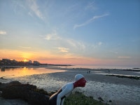 헬로제주(hello제 - 제주시 해맞이해안로 460 | 헬로제주