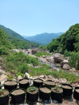 지리산시크릿가든민박 | 지리산 시크릿가든