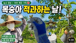 구룡토건플레이팜 | 구룡농장