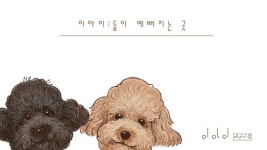 이향애견샬롱 | 이아이애견샵