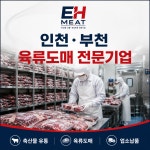 이에이치미트