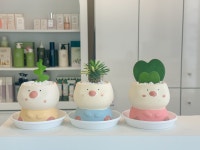 HAIR ON 헤어 온