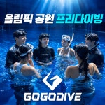 프리다이빙스쿠버다이빙강습 | 고고 프리다이빙 스킨스쿠버다이빙 강습