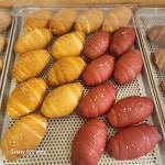 푸디스트(주)게이트고메코리아점 | 푸디스트