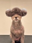 모코모코